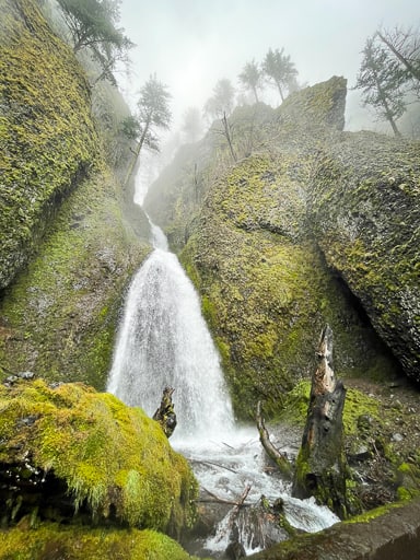 A waterfall surrounded by green trees